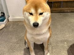 -三目仓咖啡(贤南路店)