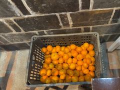 -富正毅三下锅连锁(三店)