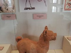 -北京动物园-畅观楼