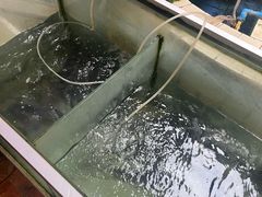 -稻香村鱼庄