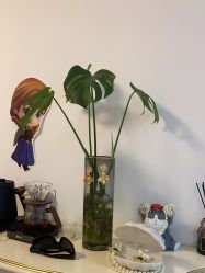 -美肤盾祛痘·问题肌头疗管理中心