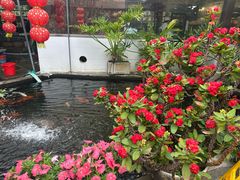 -寻味顺德·南记酒家·传统顺德菜·鱼生(广源路店)
