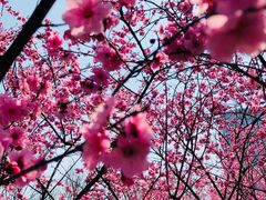 -白塘生态植物园