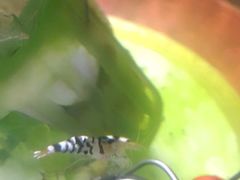 -艾溪湖湿地公园