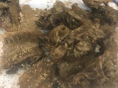 -活鱼馆(宜兴埠店)