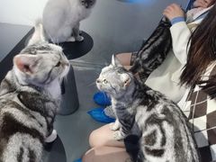 -极木²邸 人与宠物·互动社区