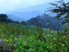 -阳台山自然风景区
