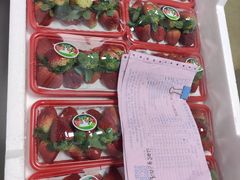 -糕小爱动物奶油生日蛋糕定制(晋江万达店)