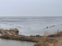 -盐城丹顶鹤湿地生态旅游区
