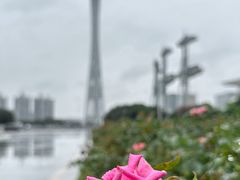 -广州塔