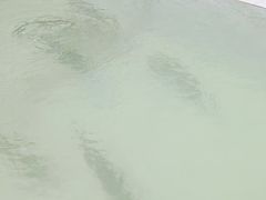 -虹口漂流