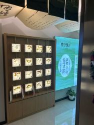 -阅年轻·AI家庭健康体质调理