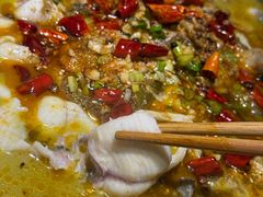 -百岁鱼(望月路店)