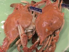 -浩运海鲜·16年专注青岛菜(石老人店)