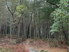 -杏花村文化旅游区