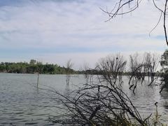 -永定河休闲森林公园