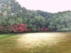 -上海兴国宾馆香樟园西餐厅