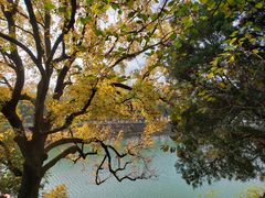 -溪口-滕头旅游景区