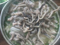 -攀枝花·任德琼·盐边羊肉米线
