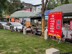 -张醪糟