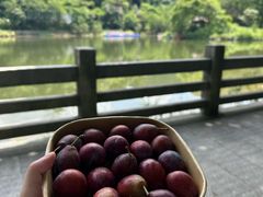 -广州市帽峰山景区