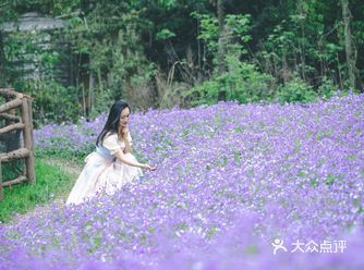 成都周边游赏花地,定格春天的好去处