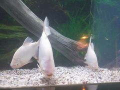 -常州海昌海洋探索馆