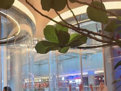 -桂满陇·蟹黄小笼汤包(清河万象店)