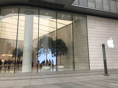 -Apple零售店(济南恒隆广场店)