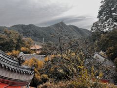 -潭柘寺景区