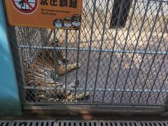 -西安秦岭野生动物园