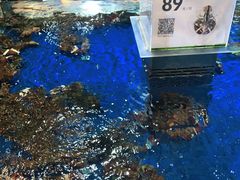 -盒马鲜生(枣园路店)
