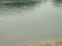 -广州市流溪河国家森林公园