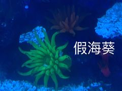 -常州海昌海洋探索馆