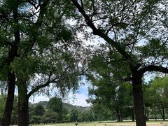 -承德避暑山庄景区