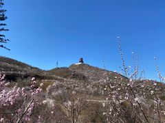 -定都峰