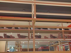 -侯师傅热炒店(印象城店)