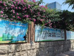 -山东省青岛第六十二中学