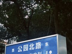 -溪岸路花鸟市场