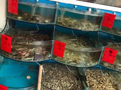 -四海蒸鲜蒸汽海鲜自助(北戴河店)