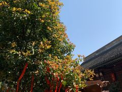 -灵岩山风景区