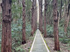 -同里国家湿地公园