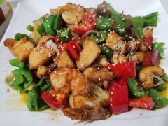 -煲来饱去冷水鱼