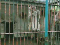 -甘棠公园