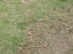 -栖露营camping·天幕烧烤·团建拓展·采摘营地