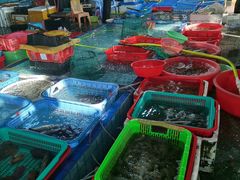 -霞涌市场海鲜摆卖区