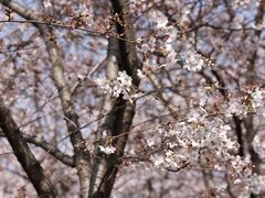 -龙美术馆(西岸馆)