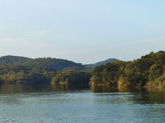 -佛手湖郊野公园