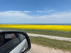 -青海湖国家重点风景名胜区