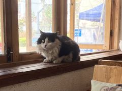 -猫爷的腔调·黔小馆(交大医学住宅区店)